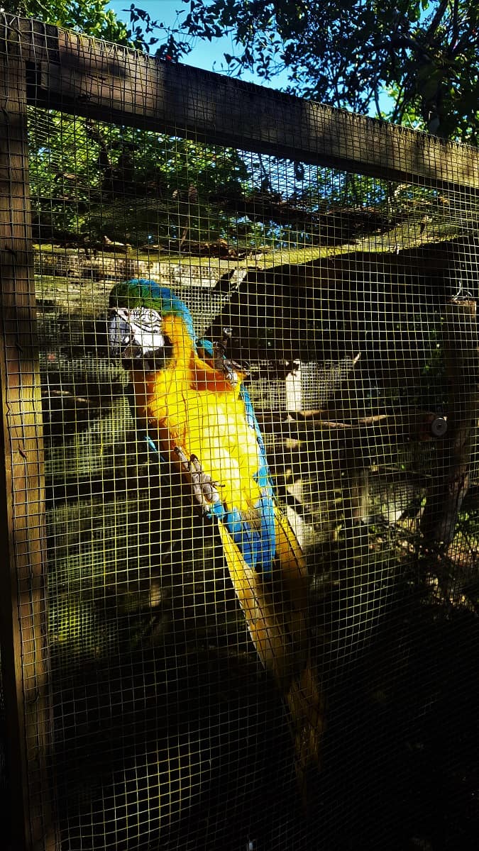 Belmopan Bird Sanctuary