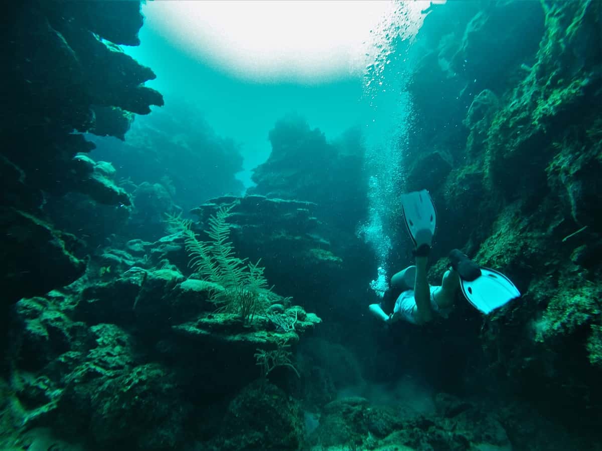 San Pedro Diving