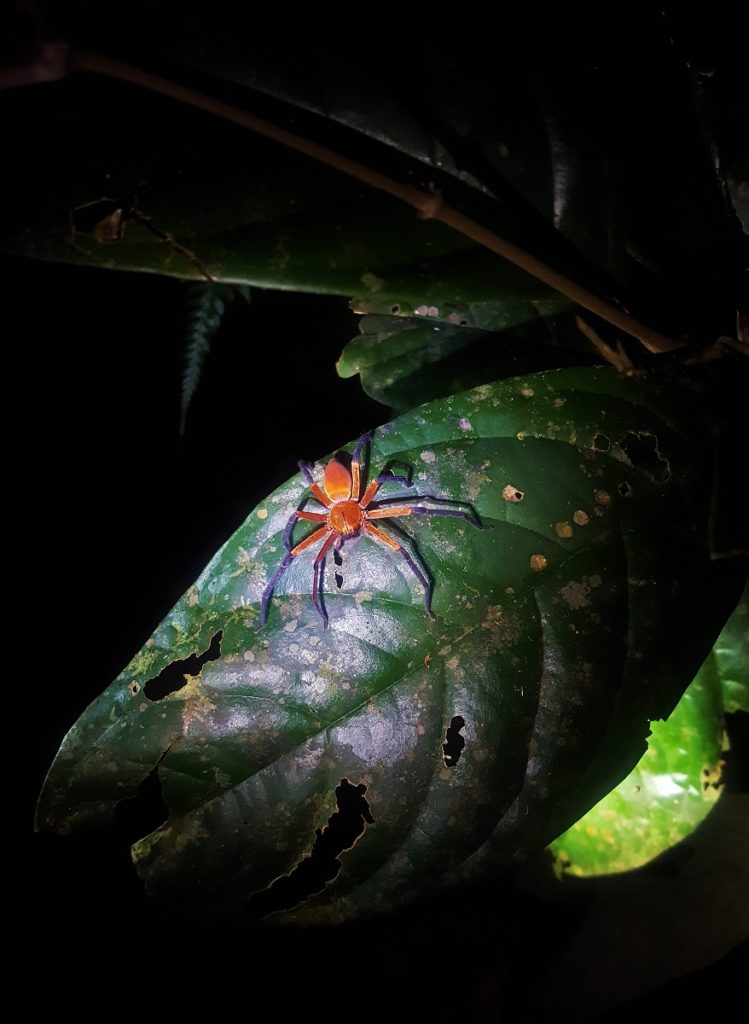 Ecuador