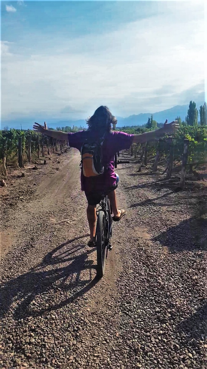 Biking Wine Tour