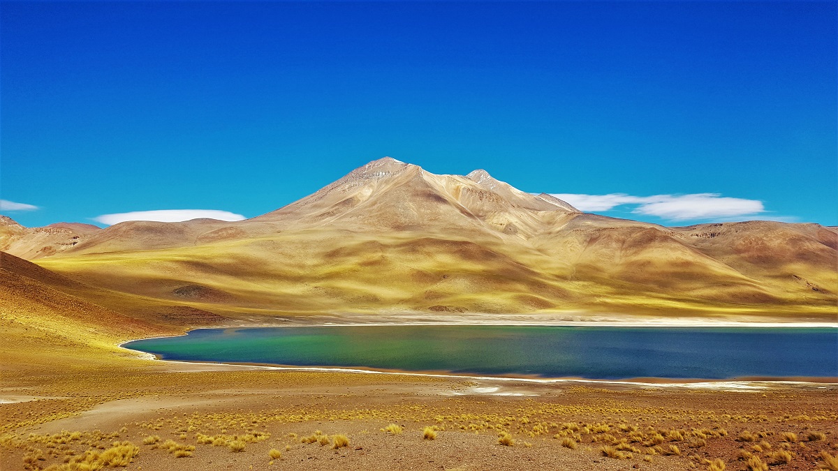 Lagunas Miscanti y Miniques - Atacama
