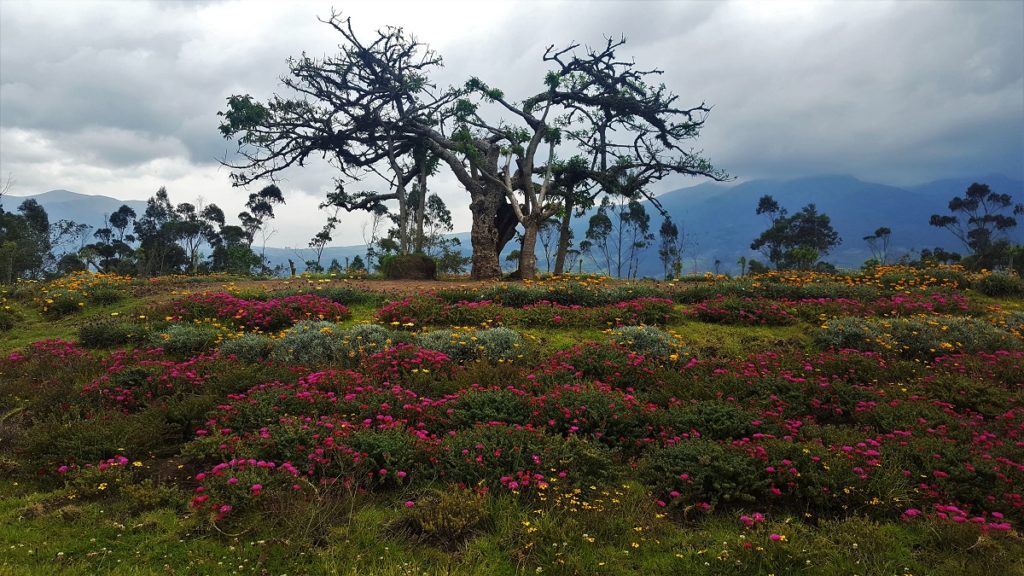 Ecuador