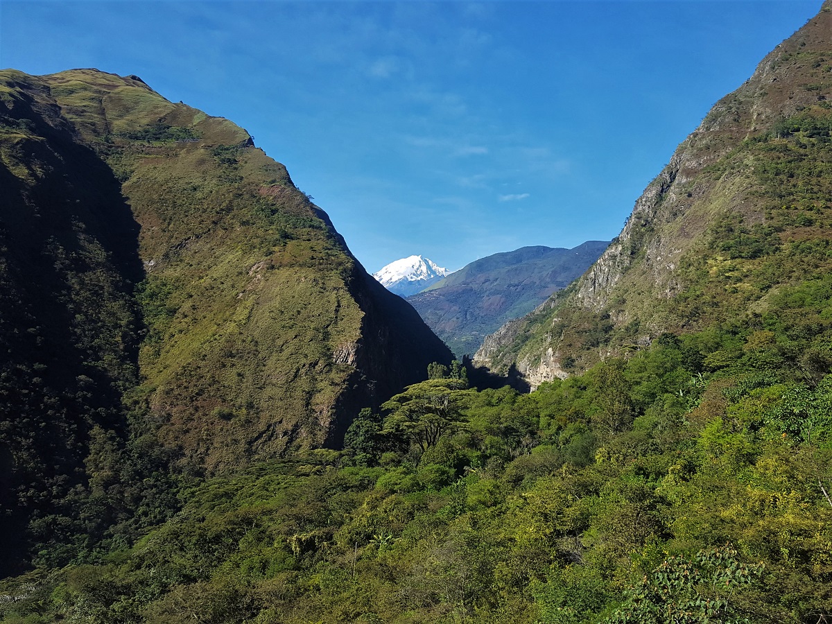 Machu Picchu Jungle Trek
